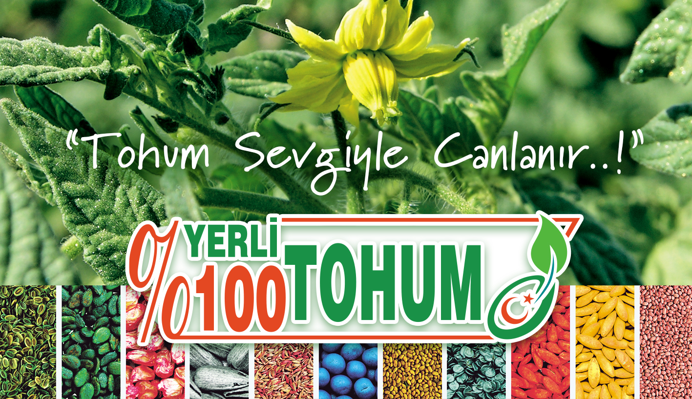 Sun Agri Tohumculuk