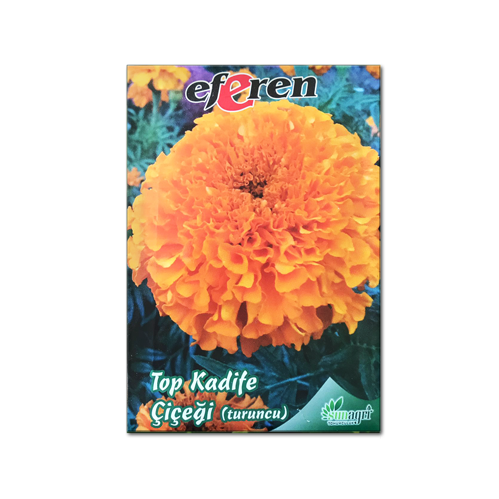 TOP KADİFE ÇİÇEĞİ TOHUMU (TURUNCU)