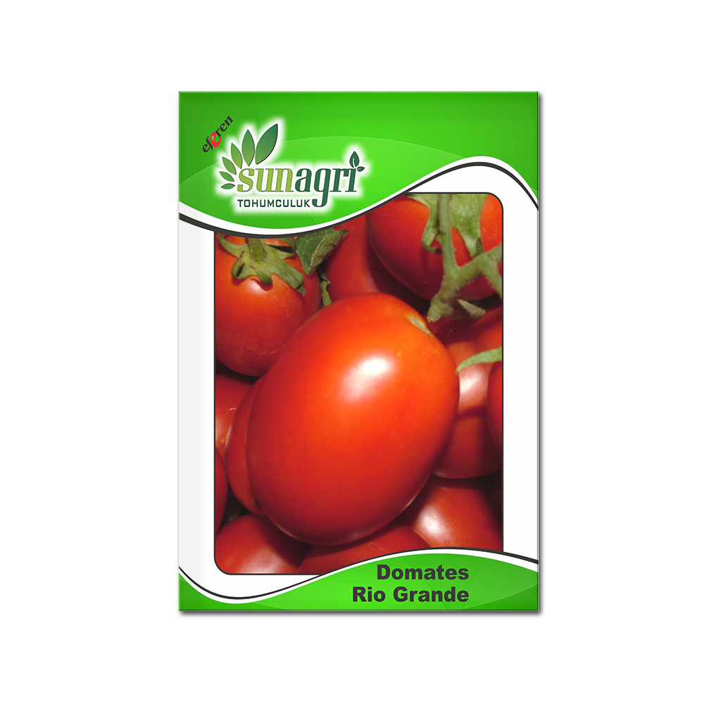 DOMATES RİO GRANDE