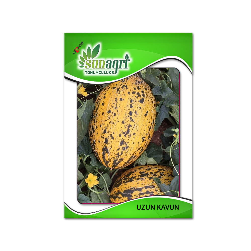 KAVUN ve KARPUZ TOHUMLARI