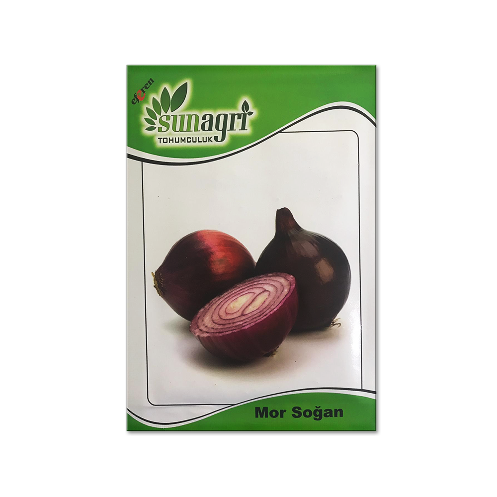 SOĞAN TOHUMLARI
