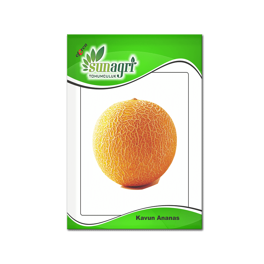 KAVUN ve KARPUZ TOHUMLARI