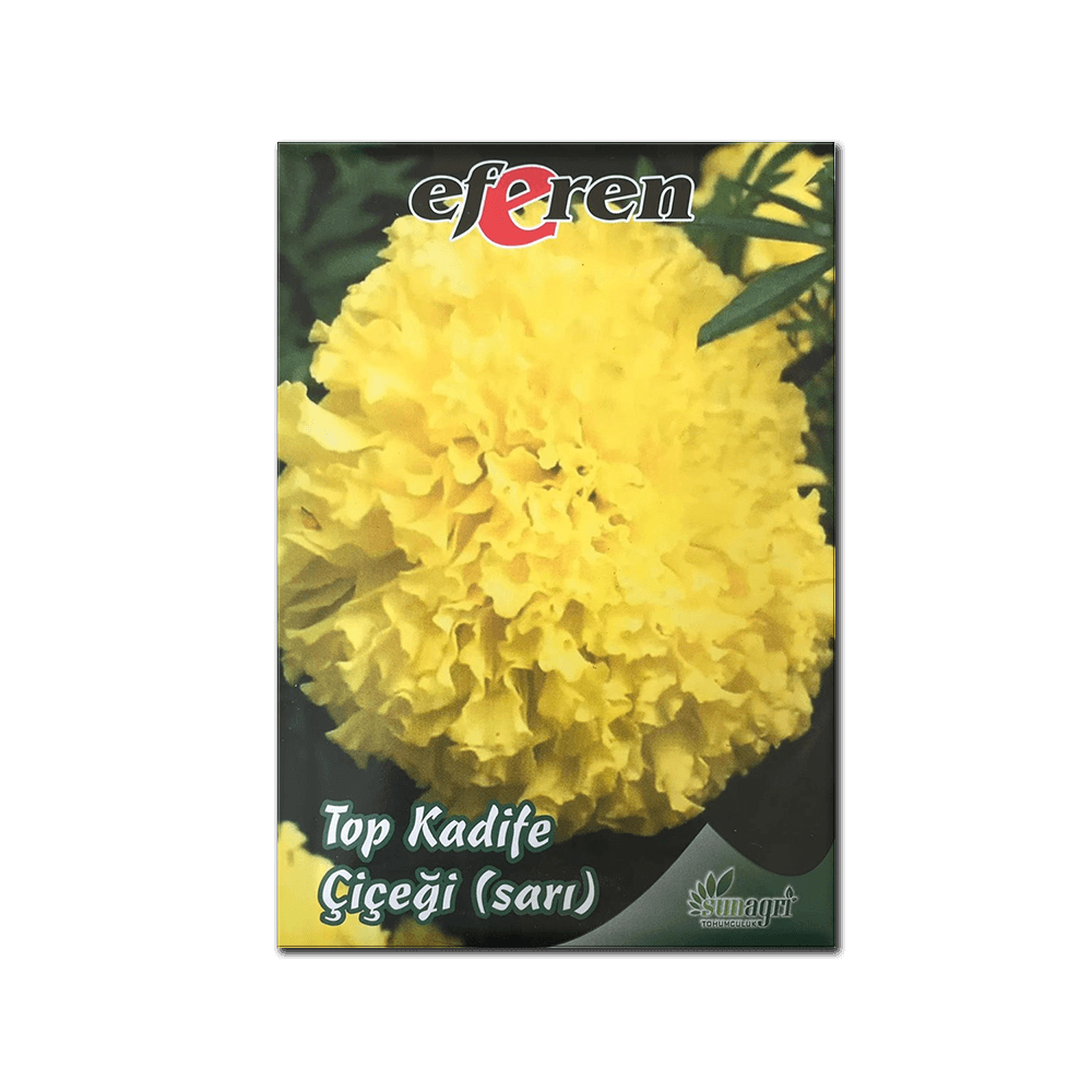 TOP KADİFE ÇİÇEĞİ TOHUMU (SARI)