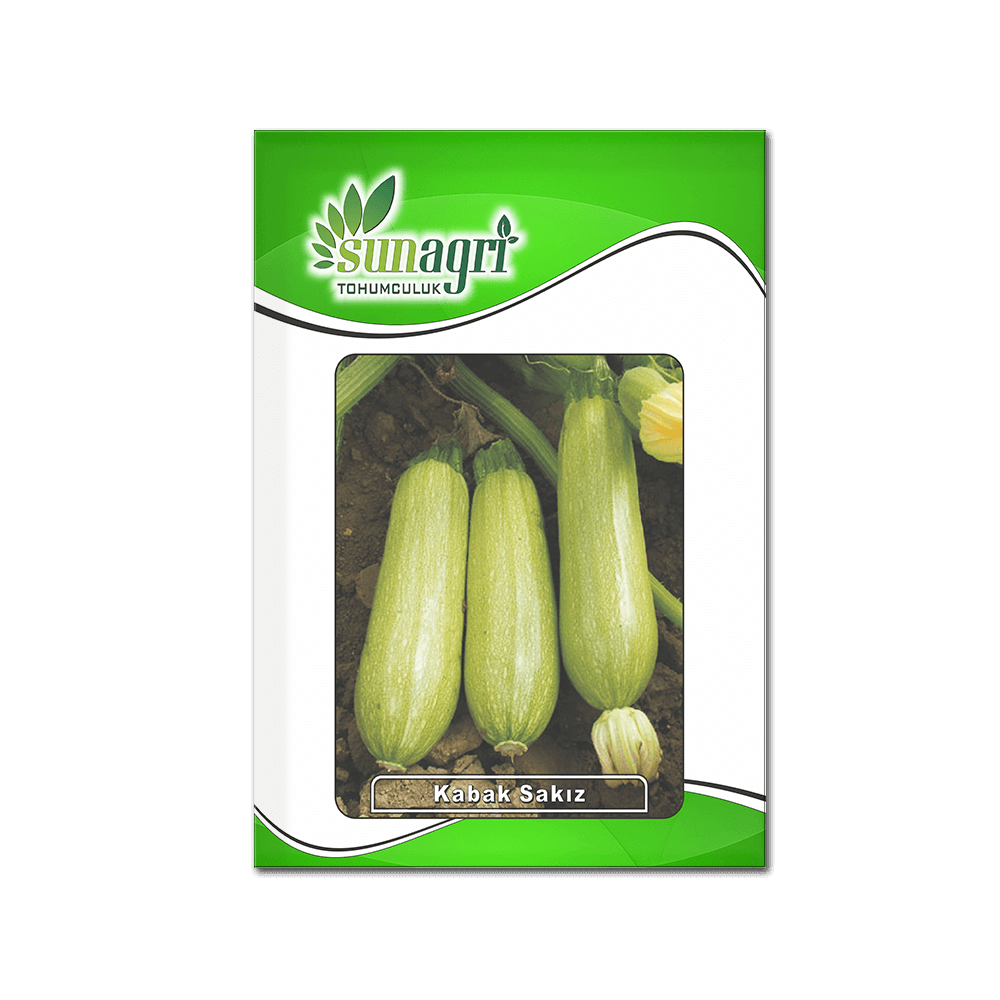 KABAK TOHUMLARI