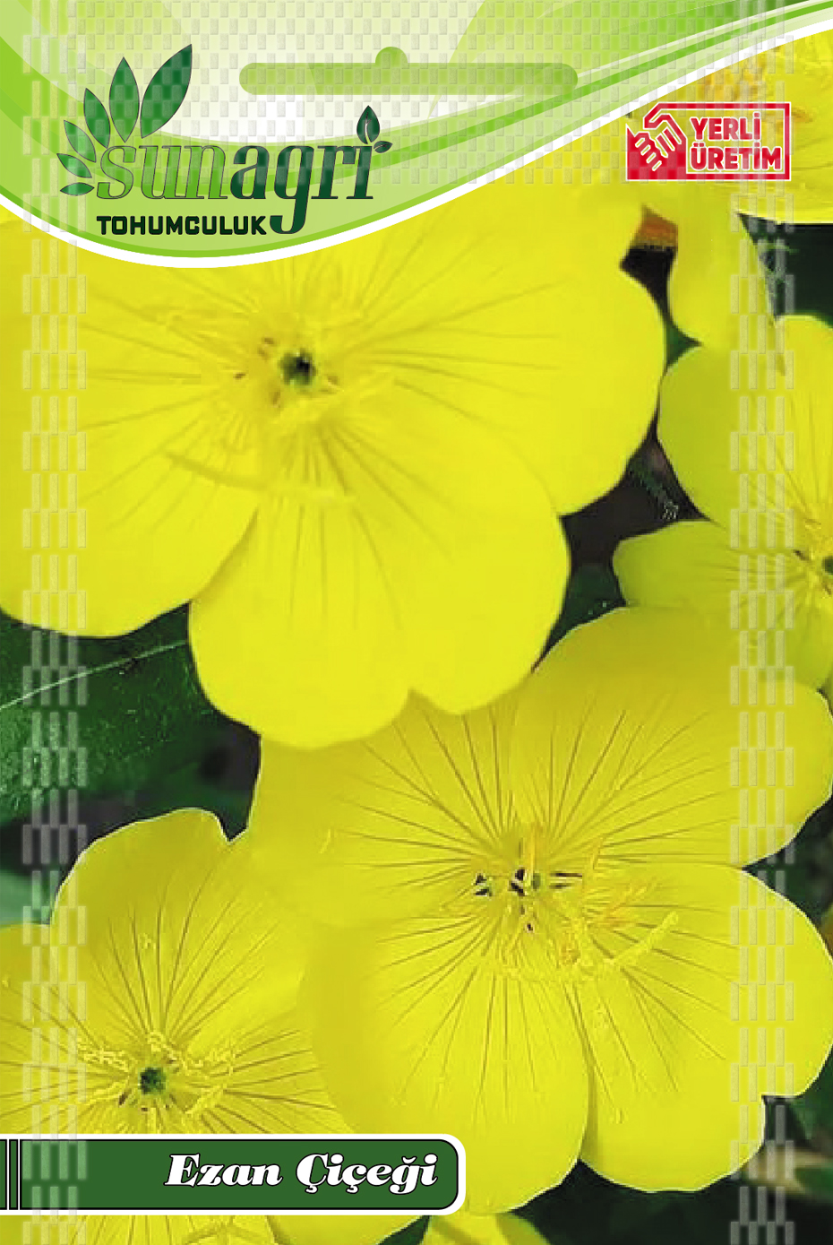 ÇİÇEK TOHUMLARI