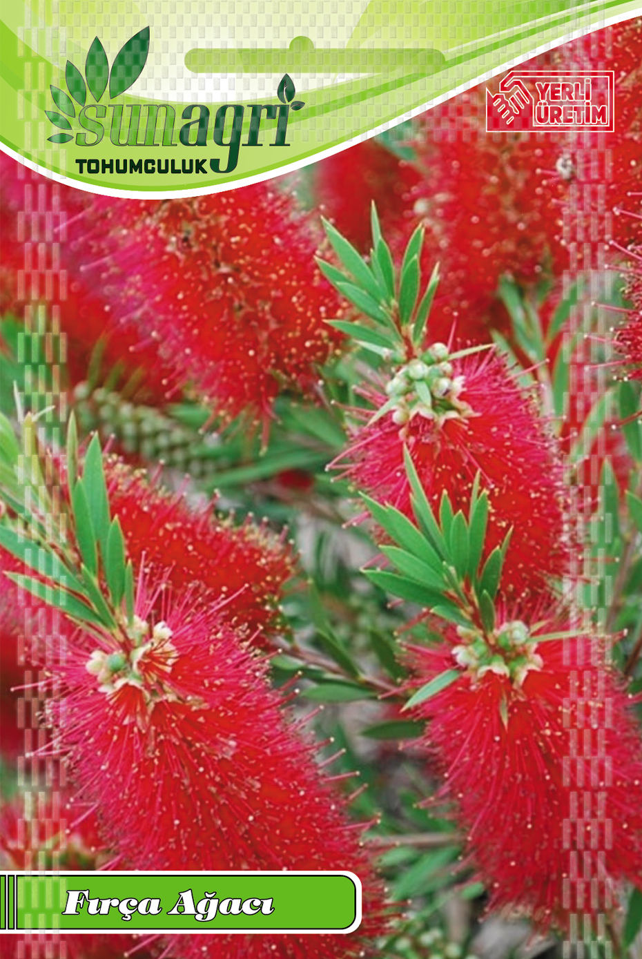 ÇİÇEK TOHUMLARI