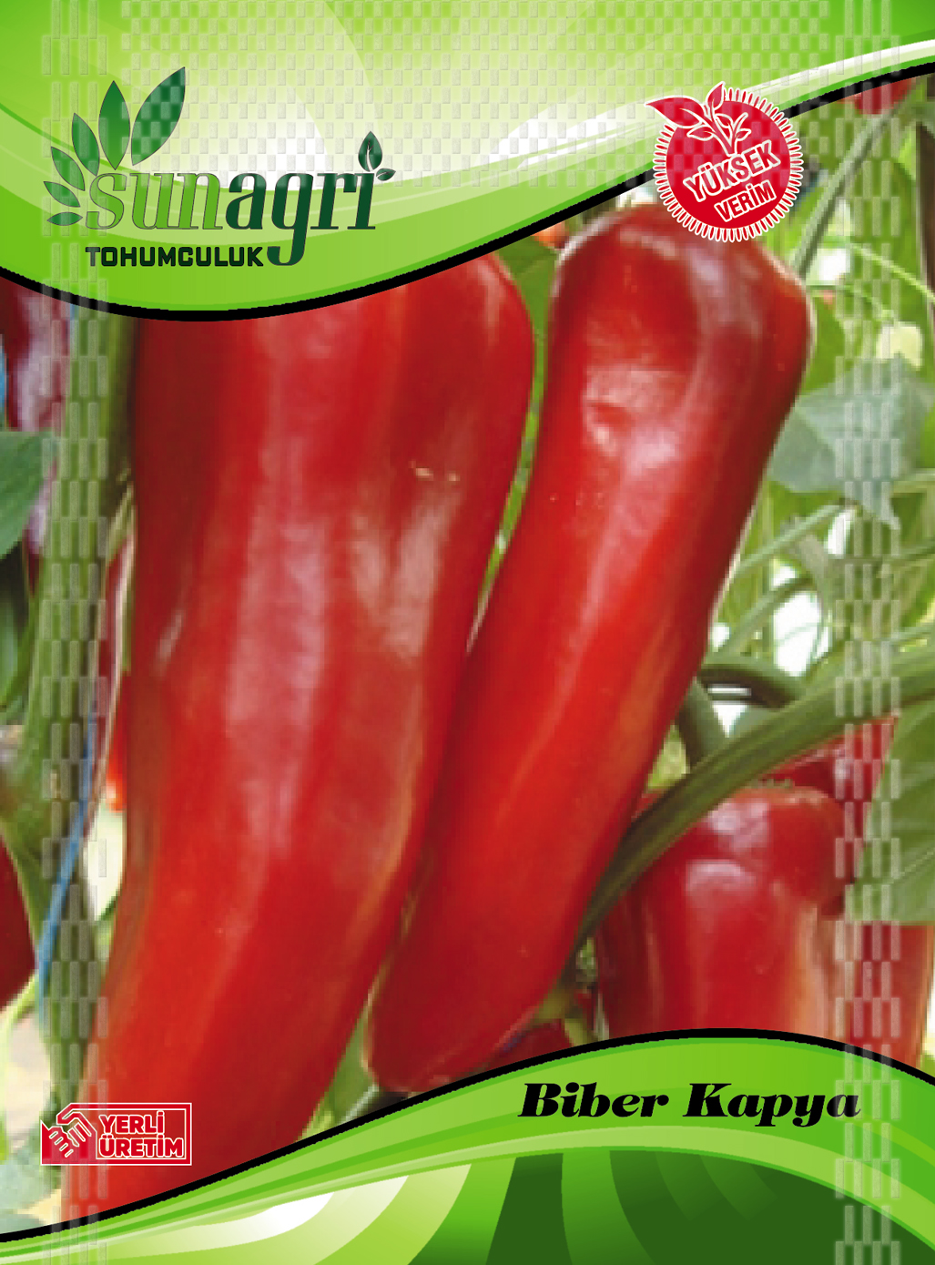 BİBER TOHUMLARI