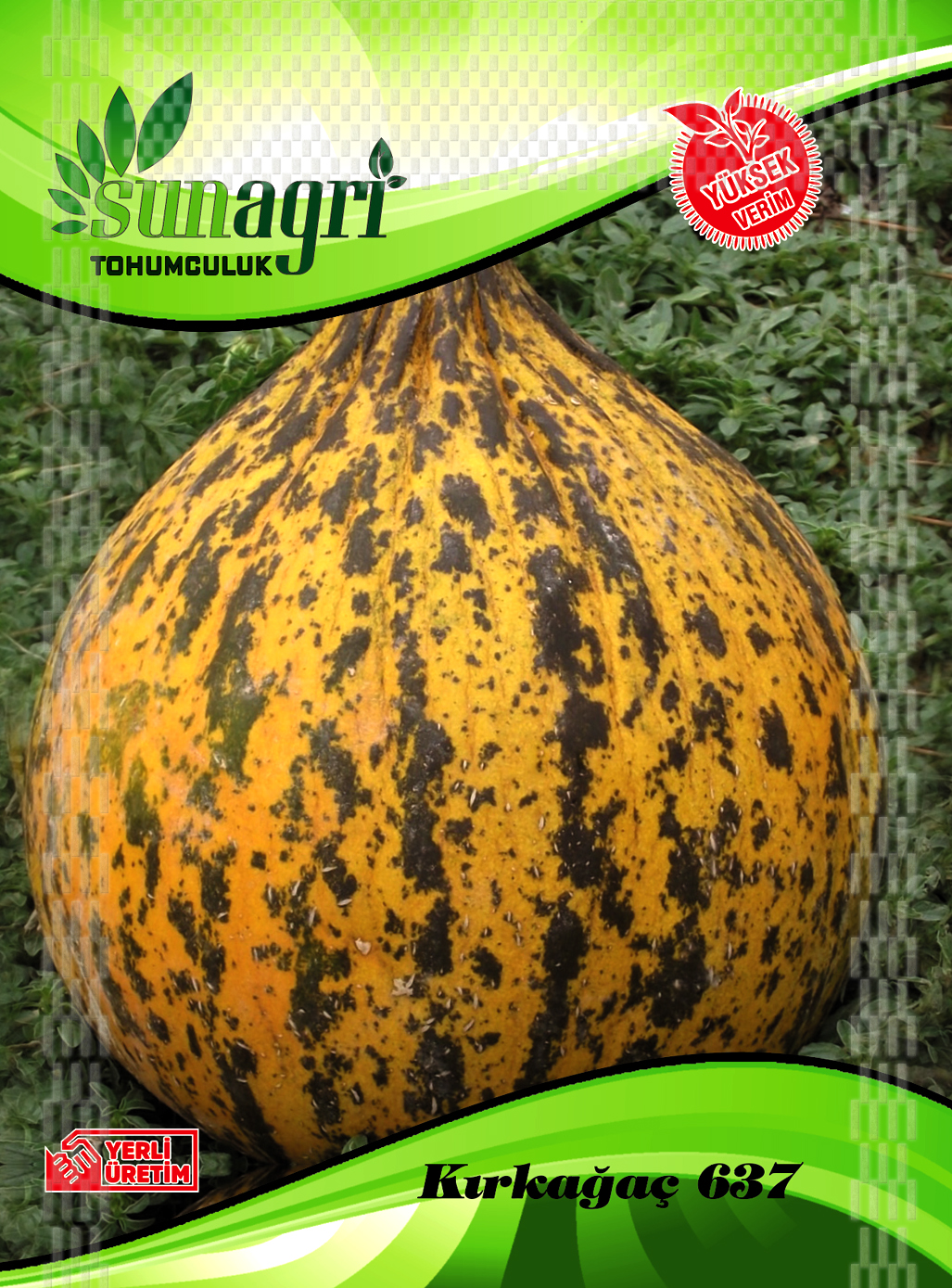 KAVUN ve KARPUZ TOHUMLARI