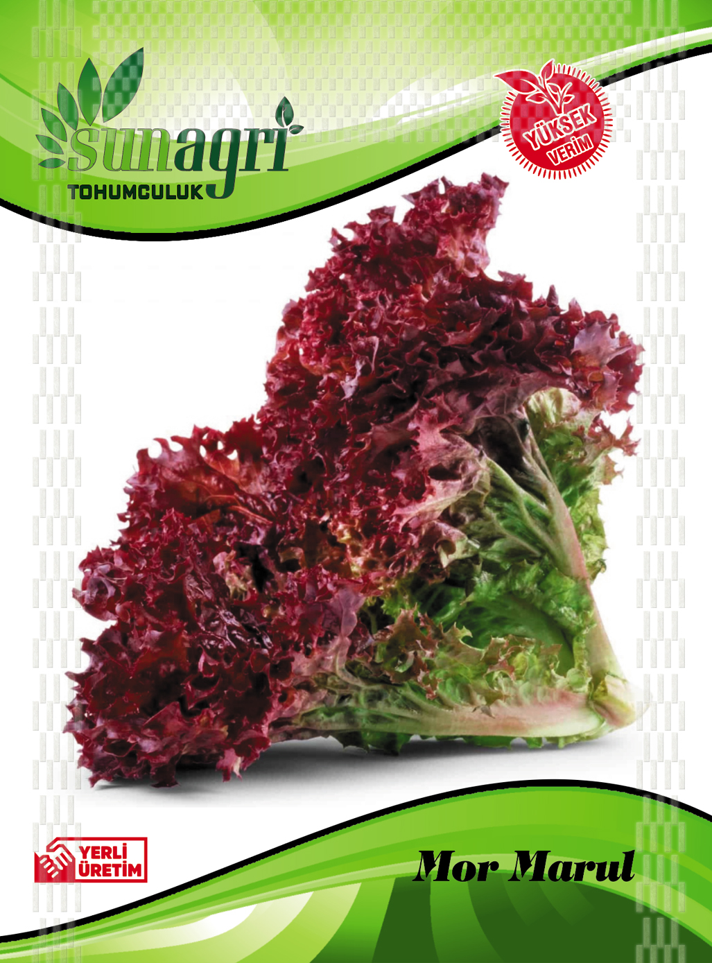 MARUL TOHUMLARI