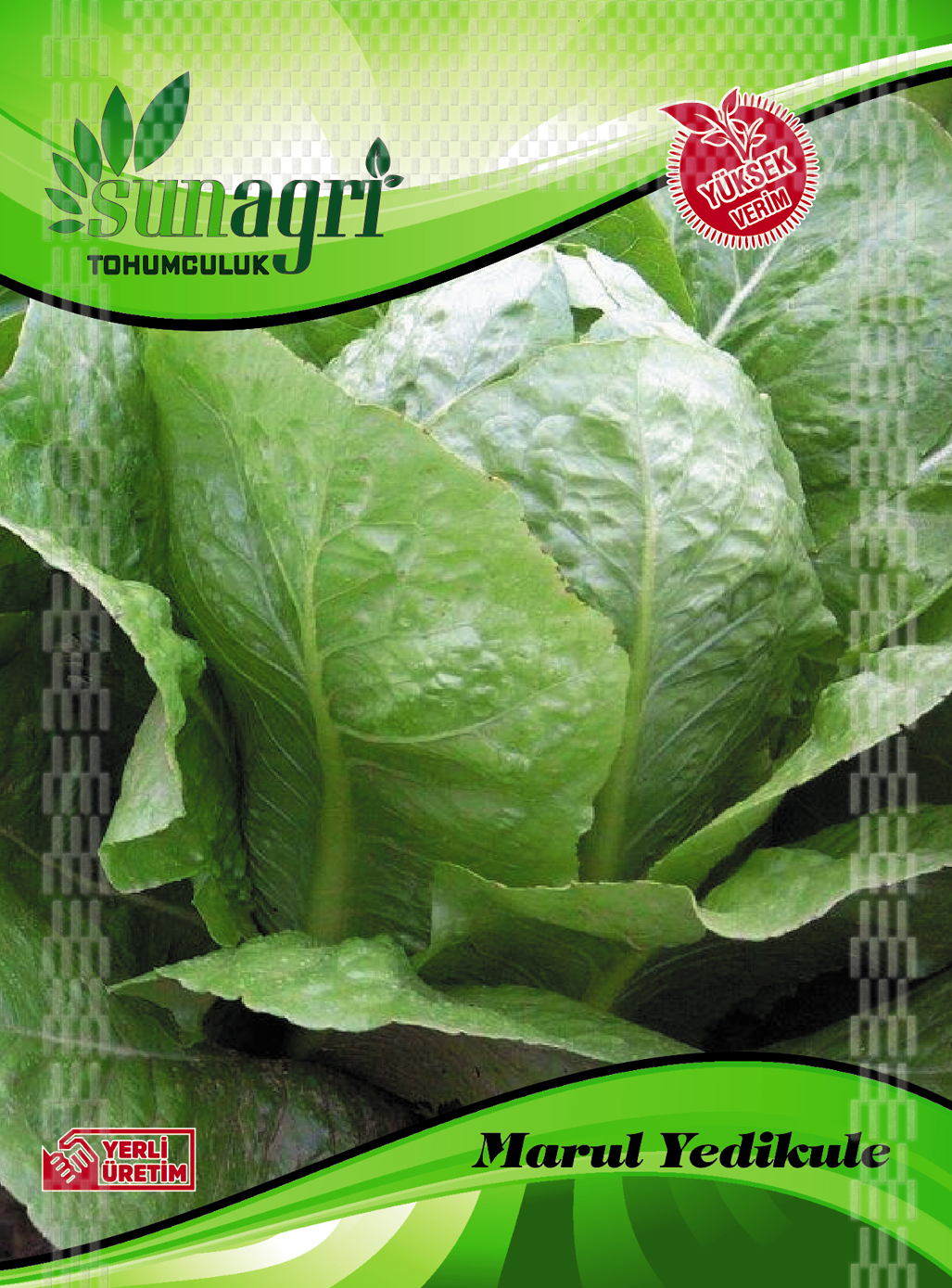 MARUL TOHUMLARI