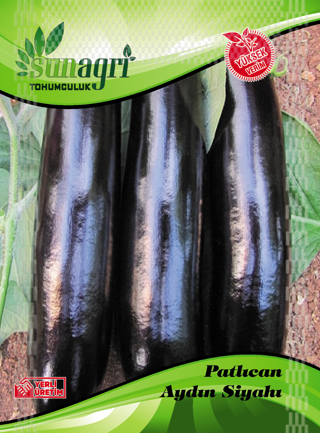 PATLICAN TOHUMLARI