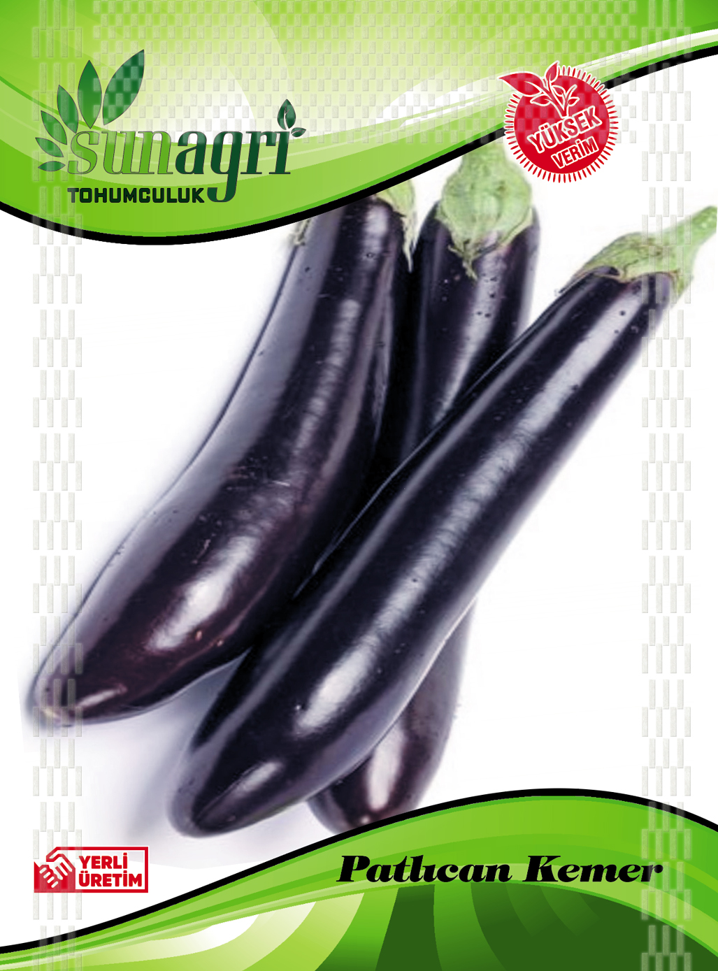 PATLICAN TOHUMLARI