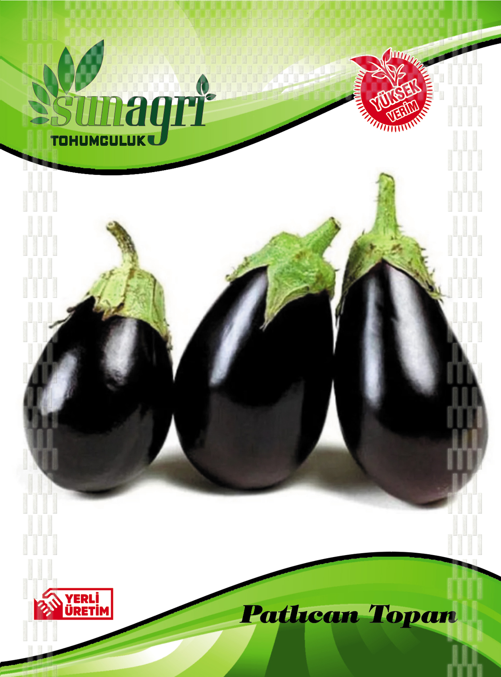 PATLICAN TOHUMLARI